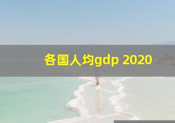 各国人均gdp 2020